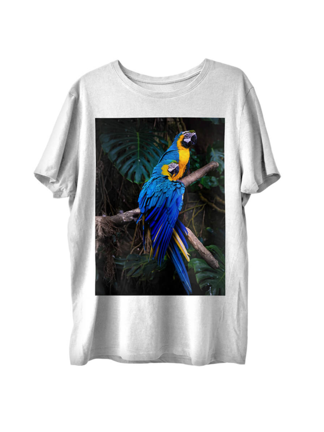 T-Shirt With a Parrot